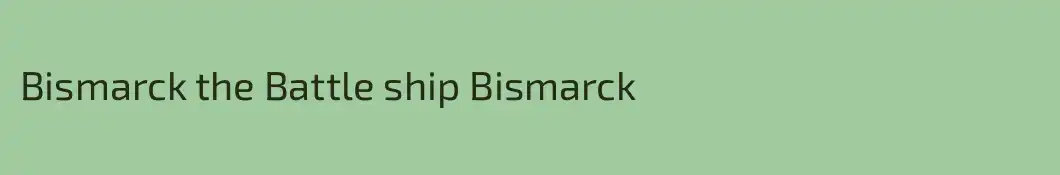 Bismarck the Battle ship Bismarck